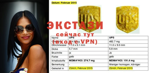 ECSTASY Богородицк