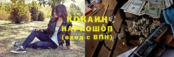 Альфа ПВП Белокуриха