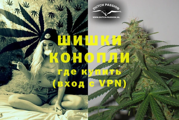 Альфа ПВП Белокуриха