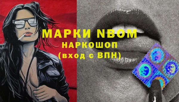 ECSTASY Богородицк